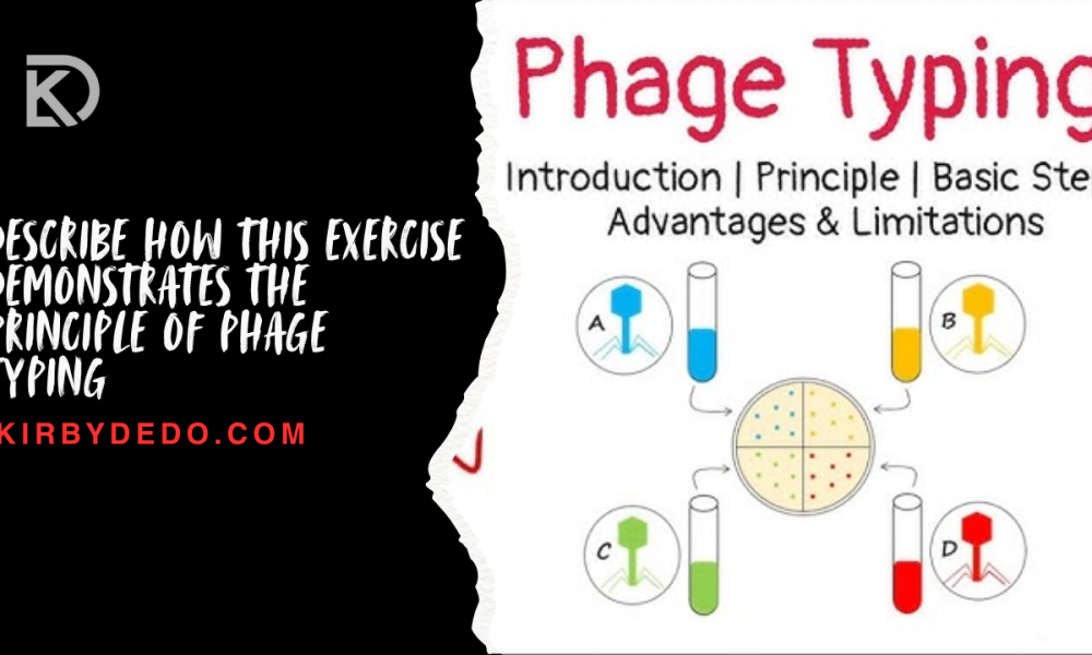 describe how this exercise demonstrates the principle of phage typing