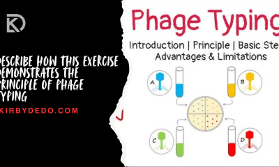 describe how this exercise demonstrates the principle of phage typing