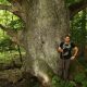 ohio champion trees lewis center ohio champion trees