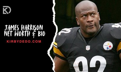 james harrison net worth